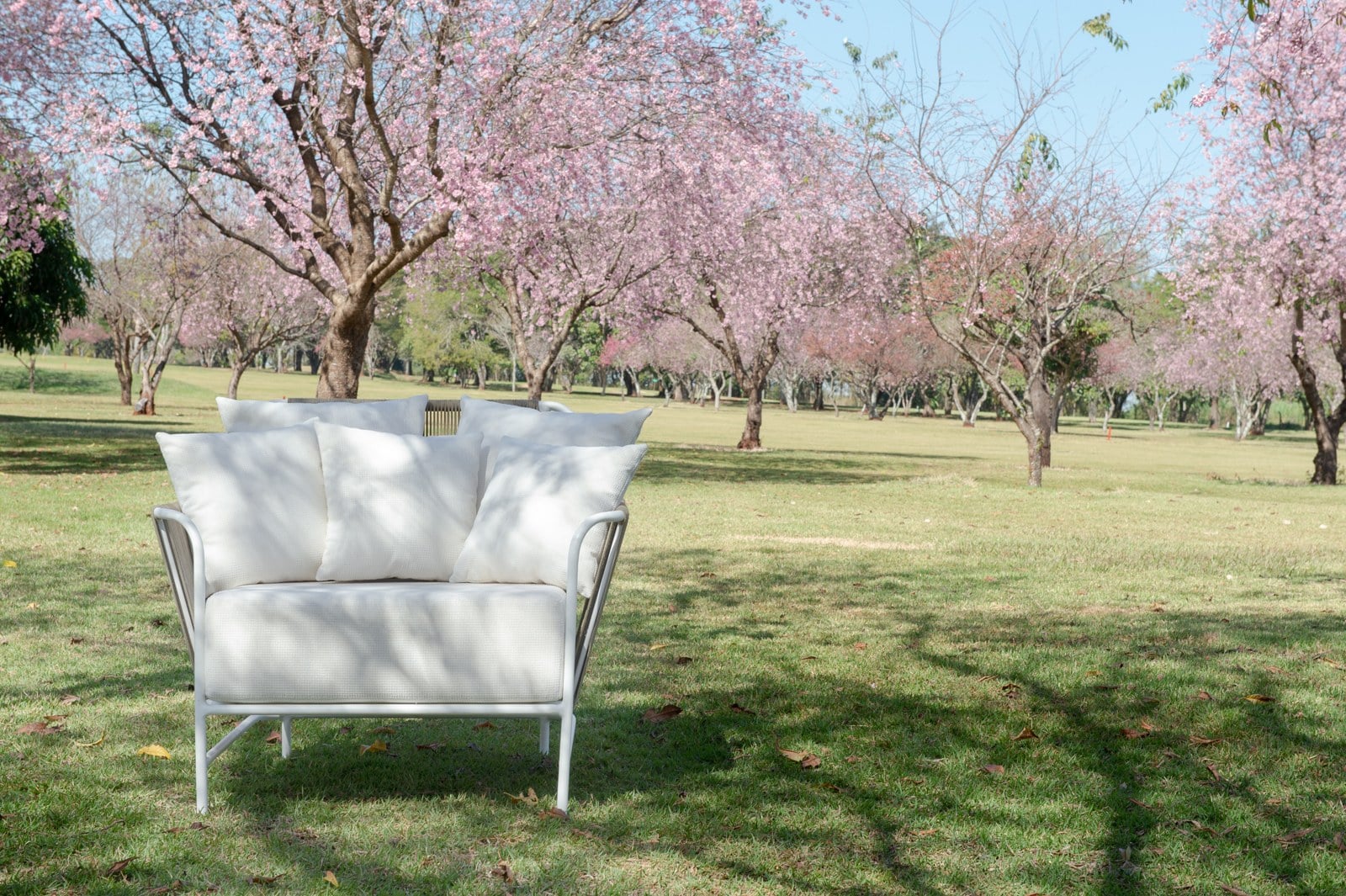 Poltrona Vaivém em ambiente